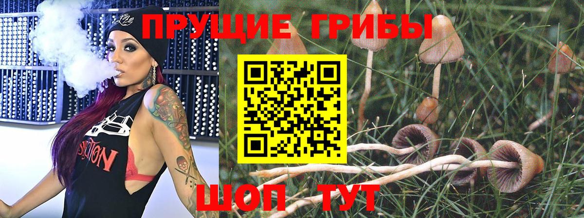 Псилоцибиновые грибы Magic Shrooms  Вход с VPN  Балашов 